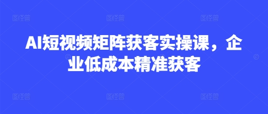 AI短视频矩阵获客实操课，企业低成本精准获客 - u4站-u4站