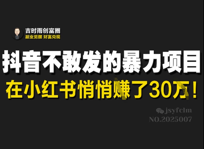 抖音不敢发的暴利项目，在小红书悄悄挣了30W - u4站-u4站