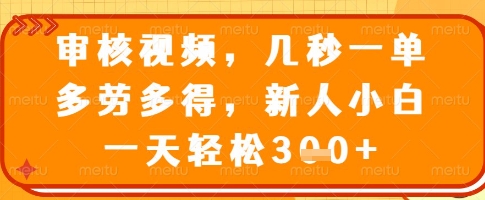 审核视频，几秒一单，多劳多得，新人小白一天轻松3张【揭秘】 - u4站-u4站