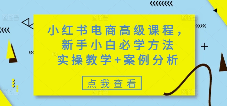 小红书电商高级课程，新手小白必学方法，实操教学+案例分析 - u4站-u4站