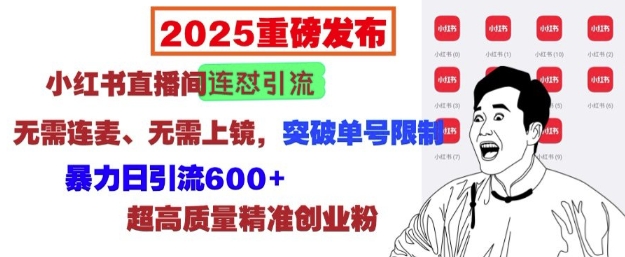 2025重磅发布：小红书直播间连怼引流，无需连麦、无需上镜，突破单号限制，暴力日引流600+ - u4站-u4站