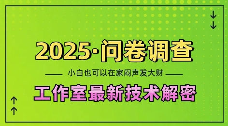 2025问卷调查最新工作室技术解密：一个人在家也可以闷声发大财，小白一天2张，可矩阵放大【揭秘】 - u4站-u4站