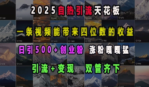 2025自热引流天花板，一条视频能带来四位数的收益，引流+变现双管齐下，日引500+创业粉，涨粉嘎嘎猛 - u4站-u4站