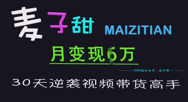 麦子甜30天逆袭视频带货高手，单月变现6W加特训营 - u4站-u4站