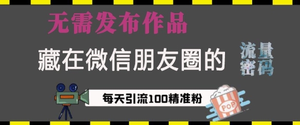 藏在微信朋友圈的流量密码，无需发布作品，单日引流100+精准创业粉【揭秘】 - u4站-u4站