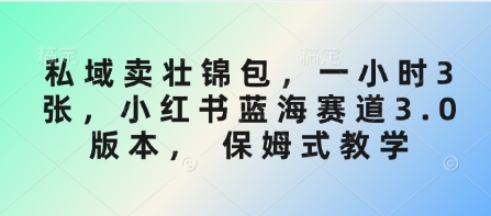 私域卖壮锦包，一小时3张，小红书蓝海赛道3.0版本， 保姆式教学 - u4站-u4站