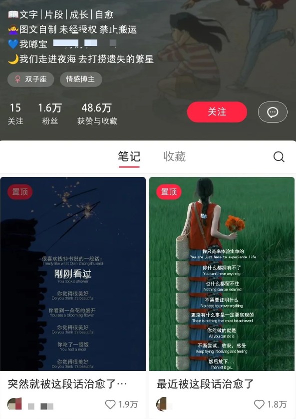 小红书治愈文案图文笔记，零门槛，一分钟制作轻松制作爆款作品月入万元 - u4站-u4站