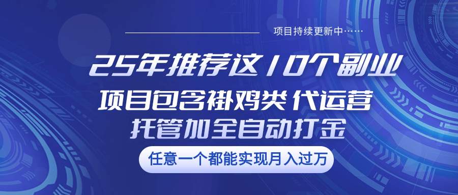 25年推荐这10个副业 项目包含褂鸡类、代运营托管类、全自动打金类 - u4站-u4站