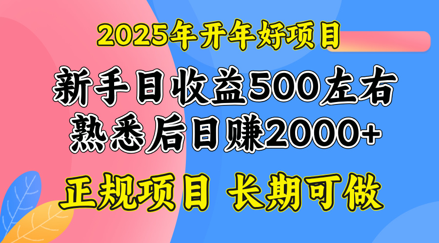 2025开年好项目，单号日收益2000左右 - u4站-u4站