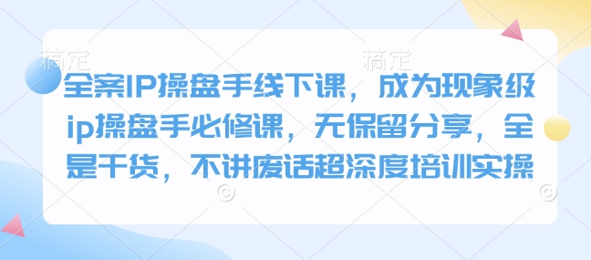 全案IP操盘手线下课，成为现象级ip操盘手必修课，无保留分享，全是干货，不讲废话超深度培训实操 - u4站-u4站