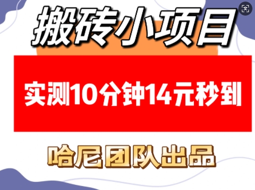 搬砖小项目，实测10分钟14元秒到，每天稳定几张(赠送必看稳定) - u4站-u4站