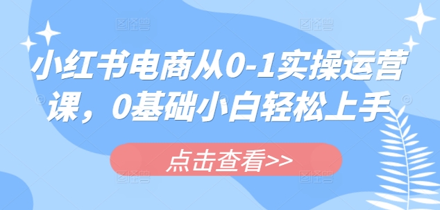 小红书电商从0-1实操运营课，0基础小白轻松上手 - u4站-u4站