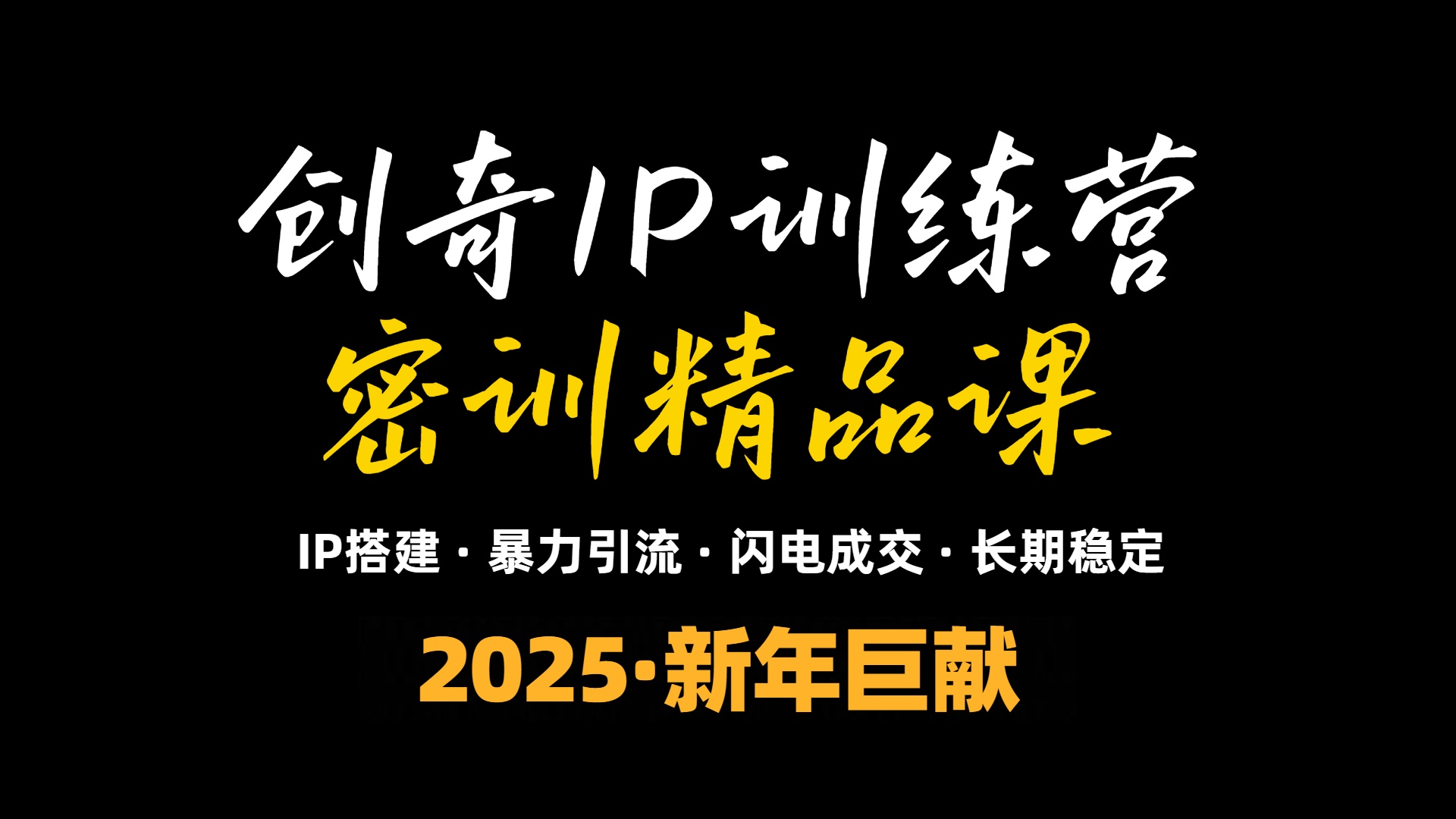 2025年“知识付费IP训练营”小白避坑年赚百万，暴力引流，闪电成交 - u4站-u4站