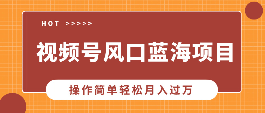 视频号风口蓝海项目，中老年人的流量密码，操作简单轻松月入过万 - u4站-u4站