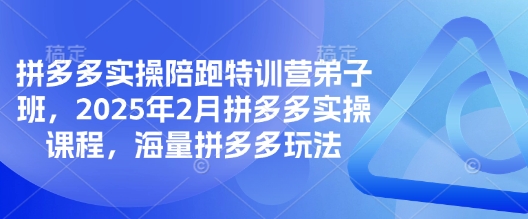 拼多多实操陪跑特训营弟子班，2025年2月拼多多实操课程，海量拼多多玩法 - u4站-u4站