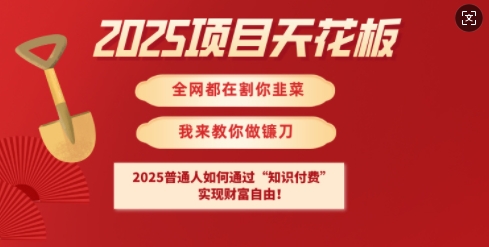 2025项目天花板普通人如何通过知识付费，实现财F自由【揭秘】 - u4站-u4站